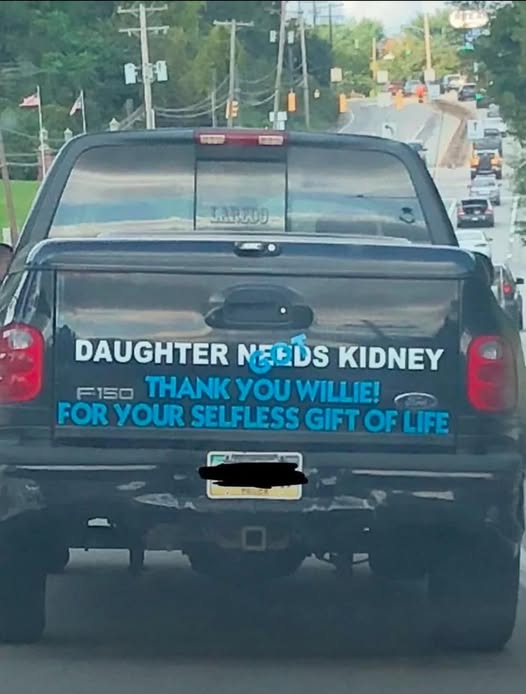 kidney.jpg